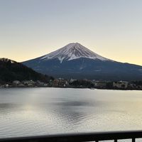 SHEN日本代購🇯🇵✨