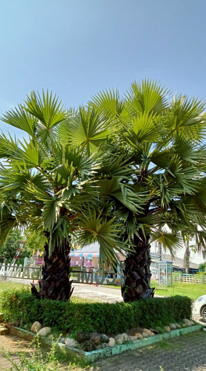 ผู้ปกครองนักเรียน ม.1/6/69