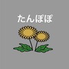 日本福祉大学　たんぽぽ