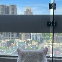 ✈找到了旅遊～幃你收藏世界✈