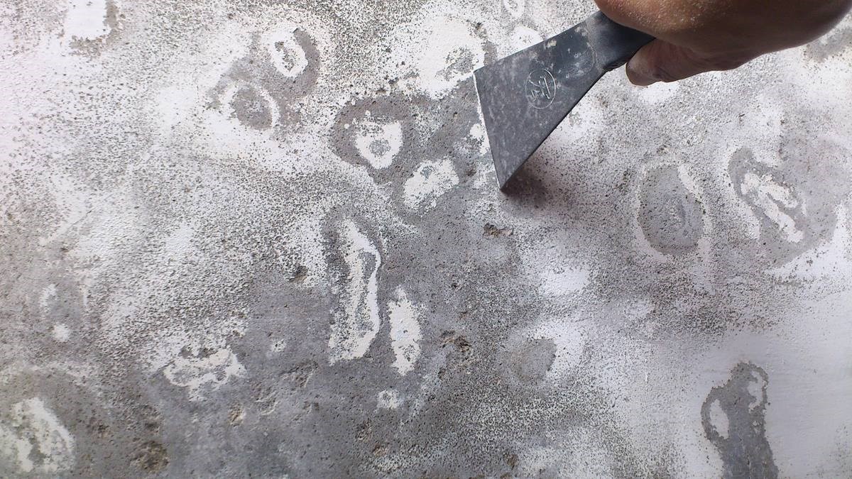 牆壁脫妝、長痘痘，你家可能已經壁癌纏身！