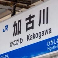 加古川交流サークル　かこがわファーストの会