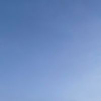 嘔吐恐怖症の人話し合い