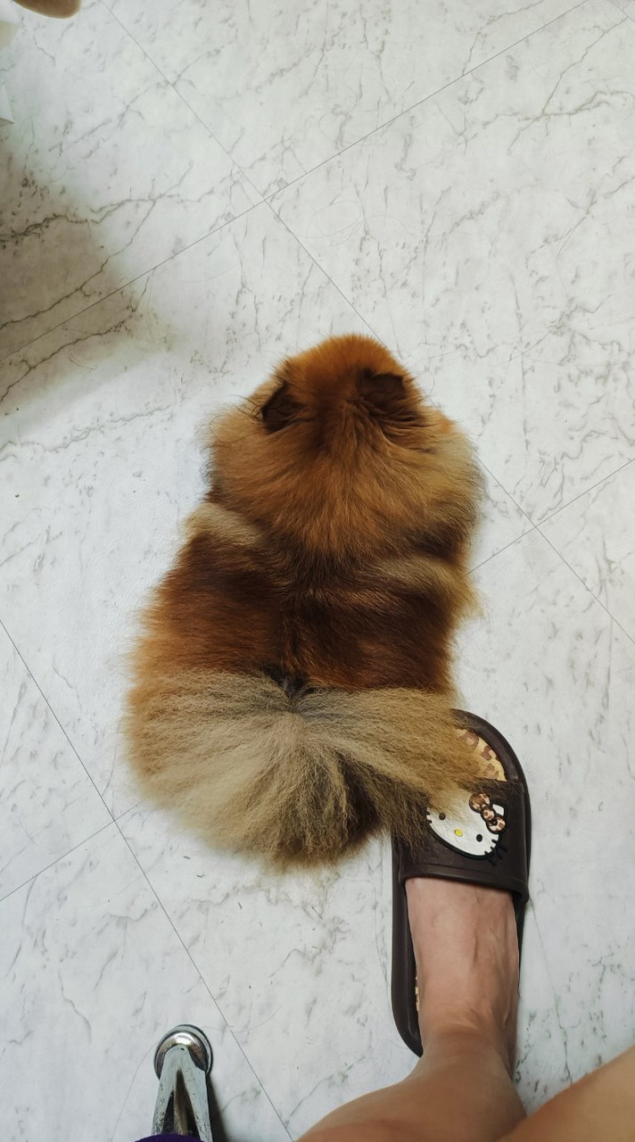 豆寶日常