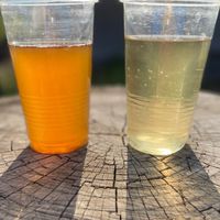 EMBC研究会〜複合発酵による共存・共栄・共生〜