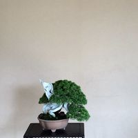 富盆栽邊聊邊買群