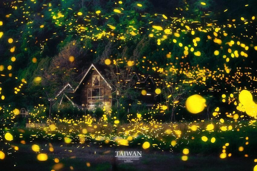 圖片授權：IG@changchinghsiung