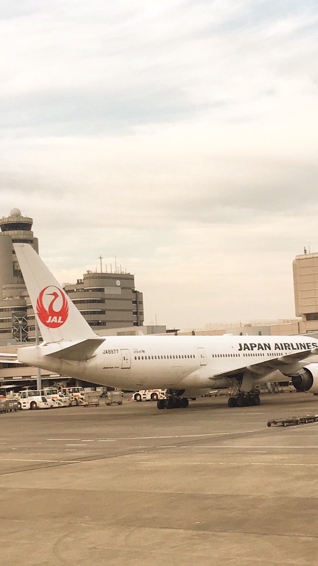 北浜会✈︎藤井彩-JAL、エミレーツ採用質問BOX-