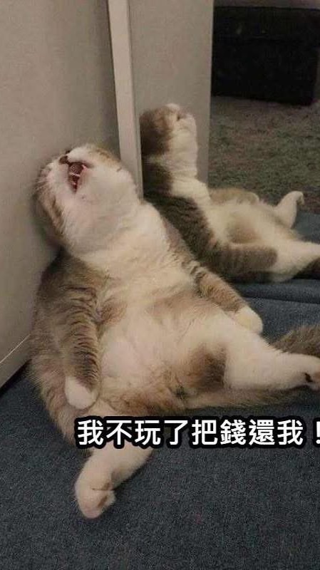 $M的錢包 2.0