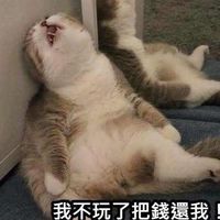 $M的錢包 2.0