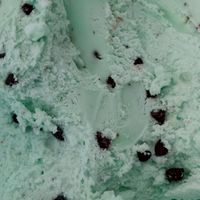 mintchoco🛍️