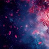 Flower Pink　Flower black暴走族✕恋愛✕戦闘✕過激✕折伽羅限定