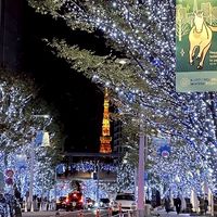 ～Now or never～　【関東】30代40代50代雑談ルーム