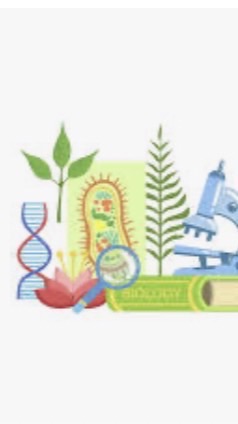 115「國中生物教甄社群」