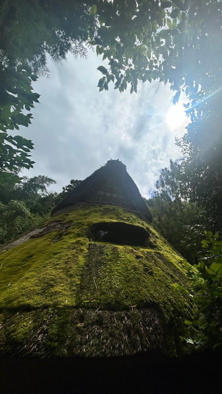 🛖縄文またま💫✨🌲