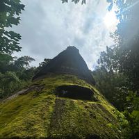 🛖縄文またま💫✨🌲