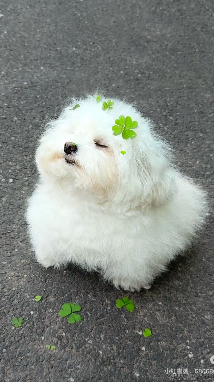 力穎試用過的好用團購商品 一起花錢吧 💰