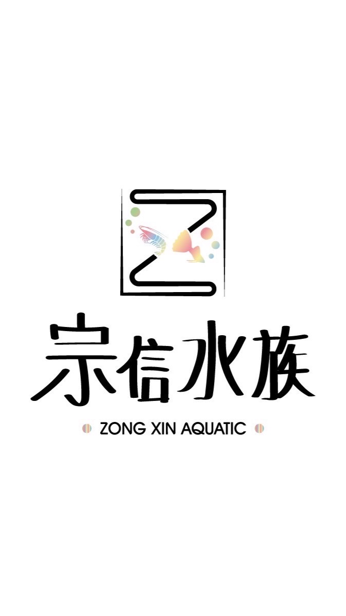 宗信水族 屏東竹田 觀賞魚蝦、水族用品、水草 面交_自取_宅配