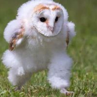ｴｯﾎｯｴｯﾎなぜんゆる‼️‼️‼️‼️‼️🫂🫂