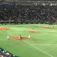 なまけ野球🎲サッカー⚽️NBA🏀