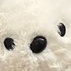 ゴンゾーファンクラブ🕶【公式】