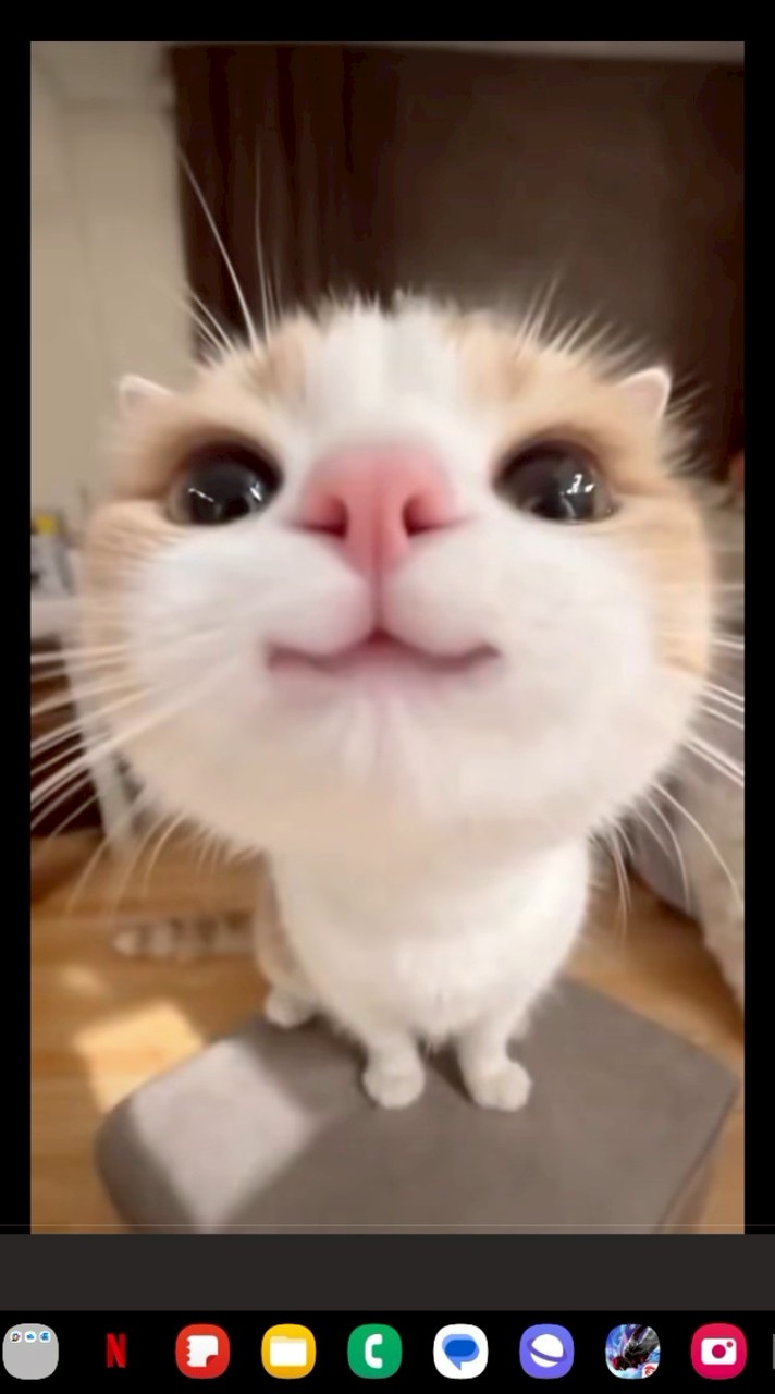 กลุ่มบอกเวลาไลฟ์เนยนะงับ