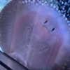 熱帯魚飼ってる人集合ー！！アクアリウム相談・雑談O̤̮K̤̮