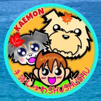 手話しゅわSHUSHUSHUお知らせ専用