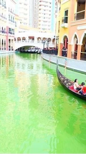 單親兩性不要相信台灣社工