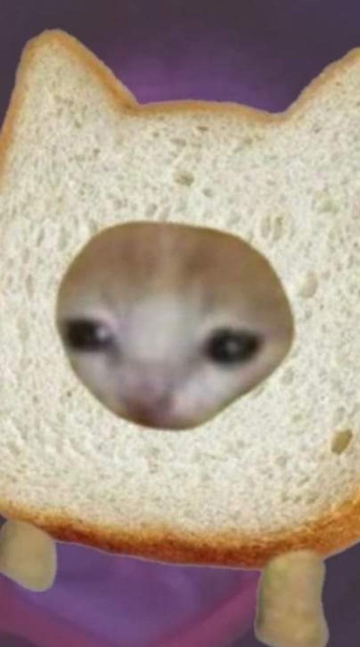 กลุ่มลิ้ง by BANK 🐈‍⬛