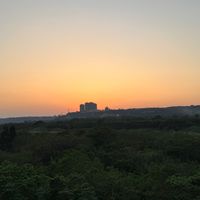 漲聲股利