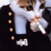 傳說對決群🐈‍⬛
