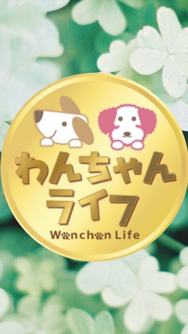 わんこのダイエット生活