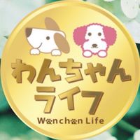 わんこのダイエット生活