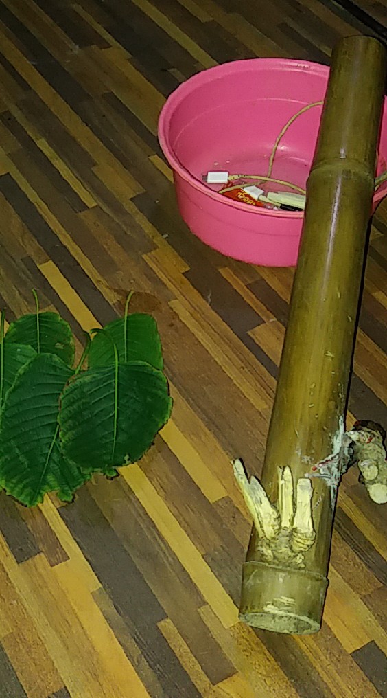 ใบท่อม&ต้นกระท่อม&บ้องกัญชาไม้ใฝ่ราคาถูกพร้อมส่งทั้วไทยสั่งได้