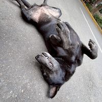 114義守醫學院新生群