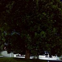 日大薬学生あつまれ～！(非公式←ここテストに出ます)