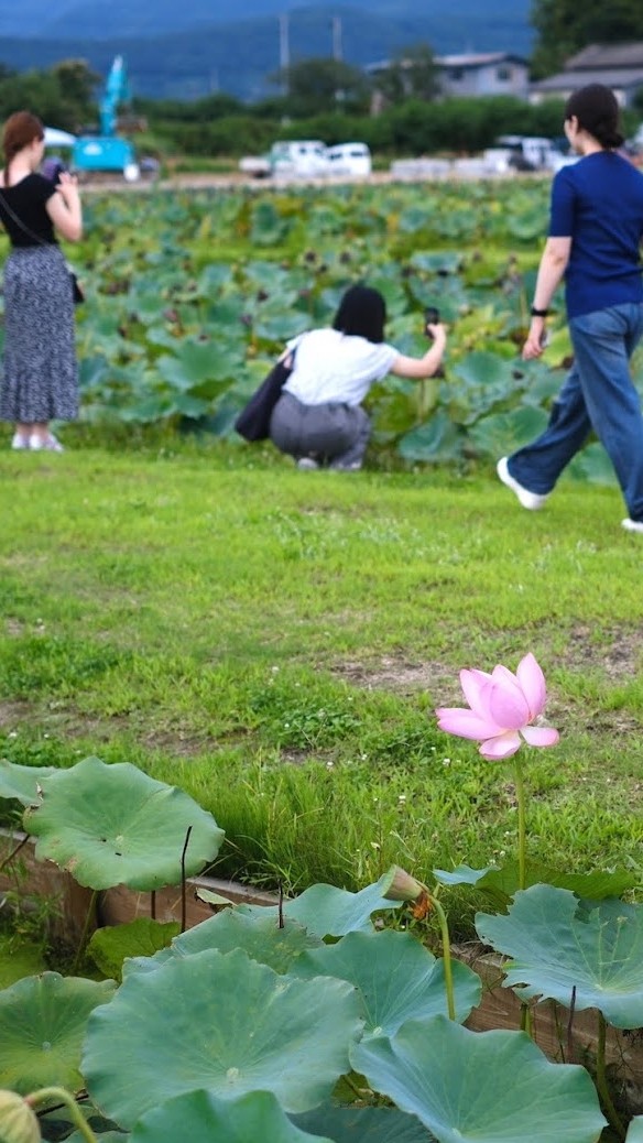 国見町PBL合宿プログラム2025