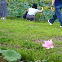 国見町PBL合宿プログラム2025