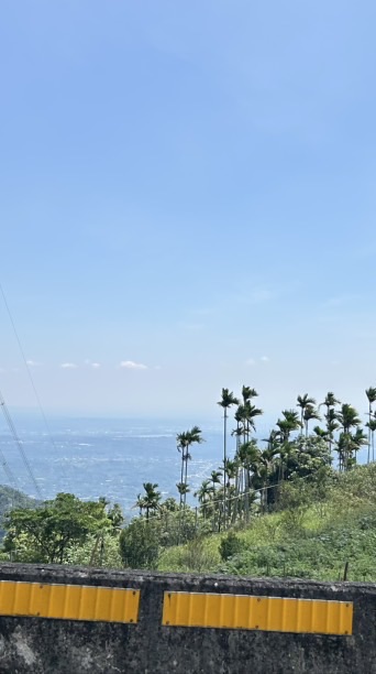 Teresa影片