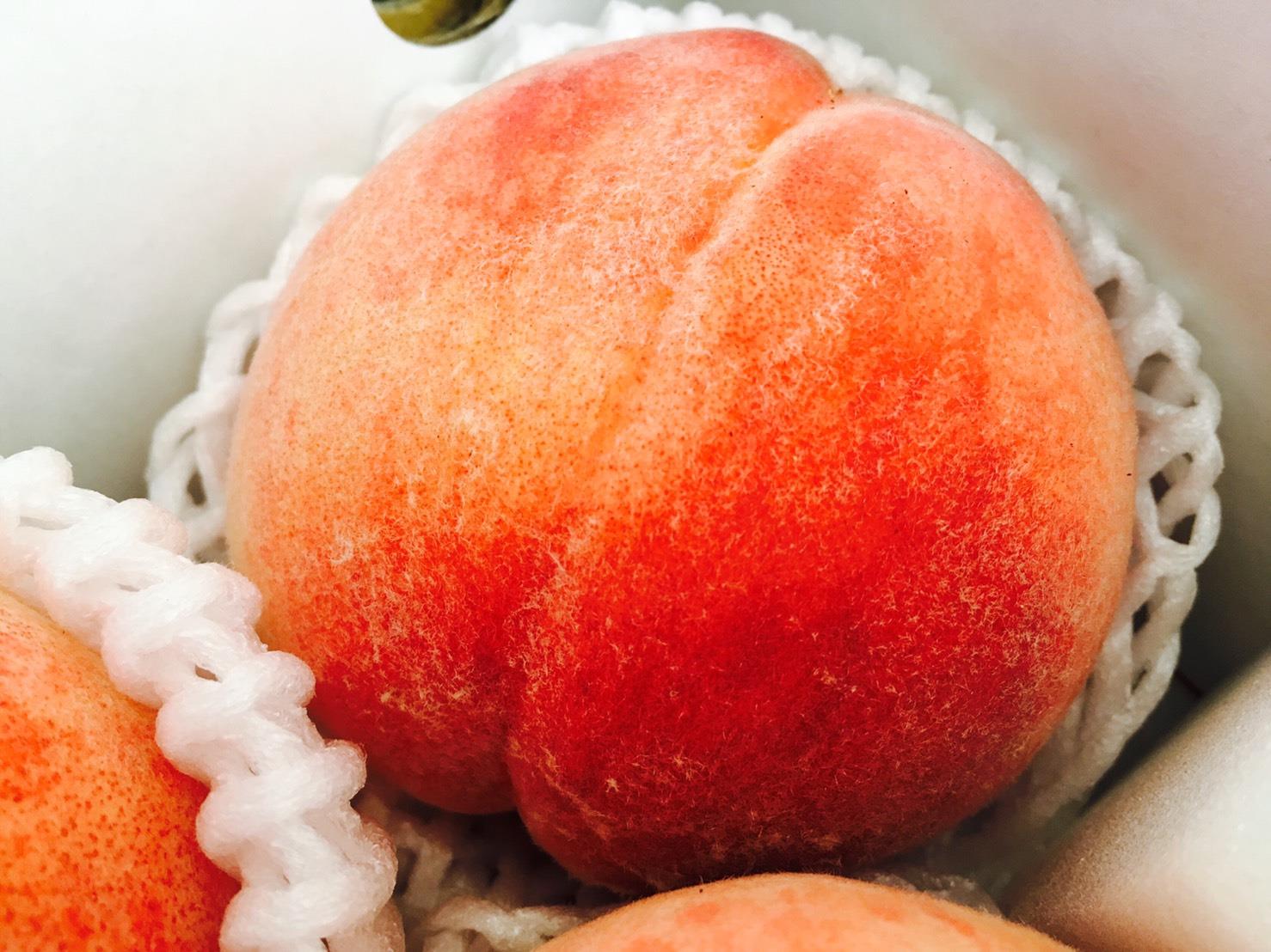 商品簡介 山梨縣是日本最大的水蜜桃產區。地形土壤和氣候造就出極佳的水蜜桃長成環境，沿古傳承的種植技術，更是當地水蜜桃品質傲視日本國內的重要因素。在5月室外水蜜桃正接近成熟之際，溫室條件控制形成如室外的