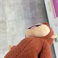 染色体一本少ないって