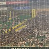 福岡の千葉ロッテファン集合！