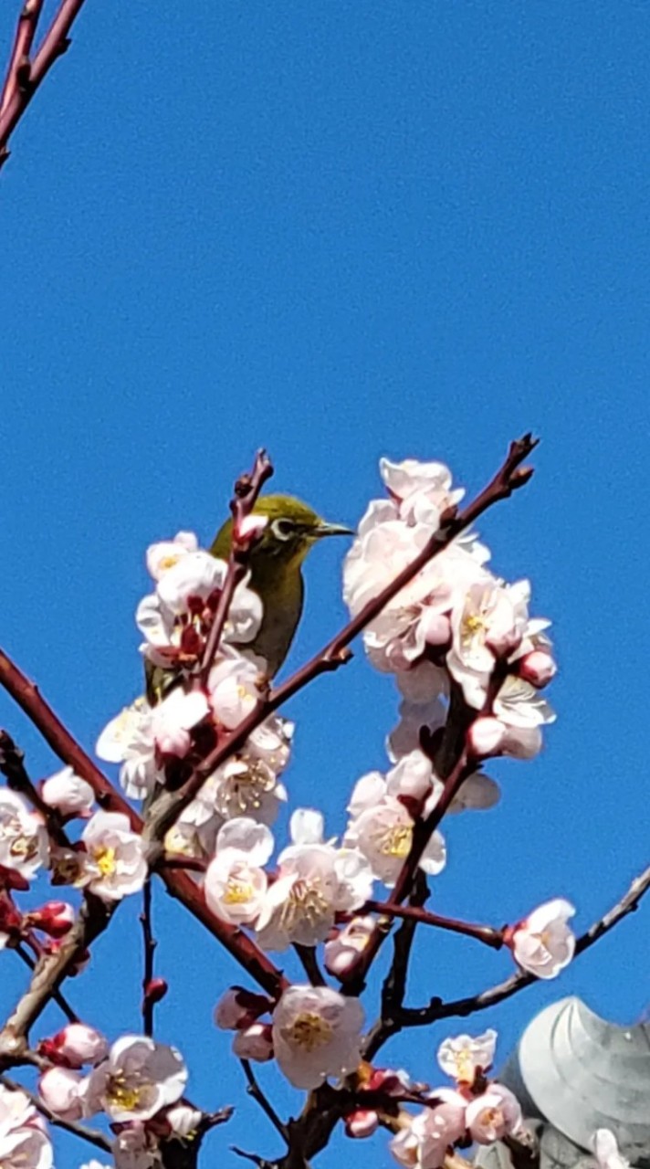 あなたの写真レビューします✨のオープンチャット