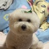 代購