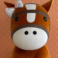 競馬場で会いましょ〜🏇【関東】