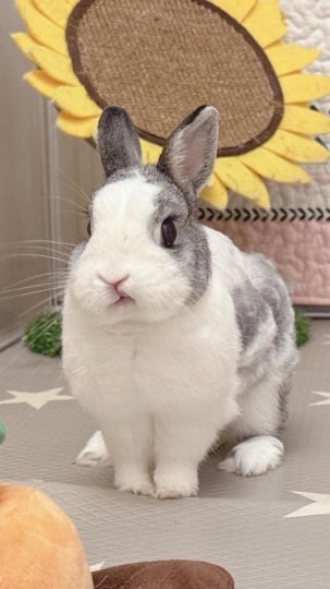 ☼ 晴の好物分享群