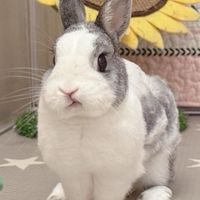 ☼ 晴の好物分享群