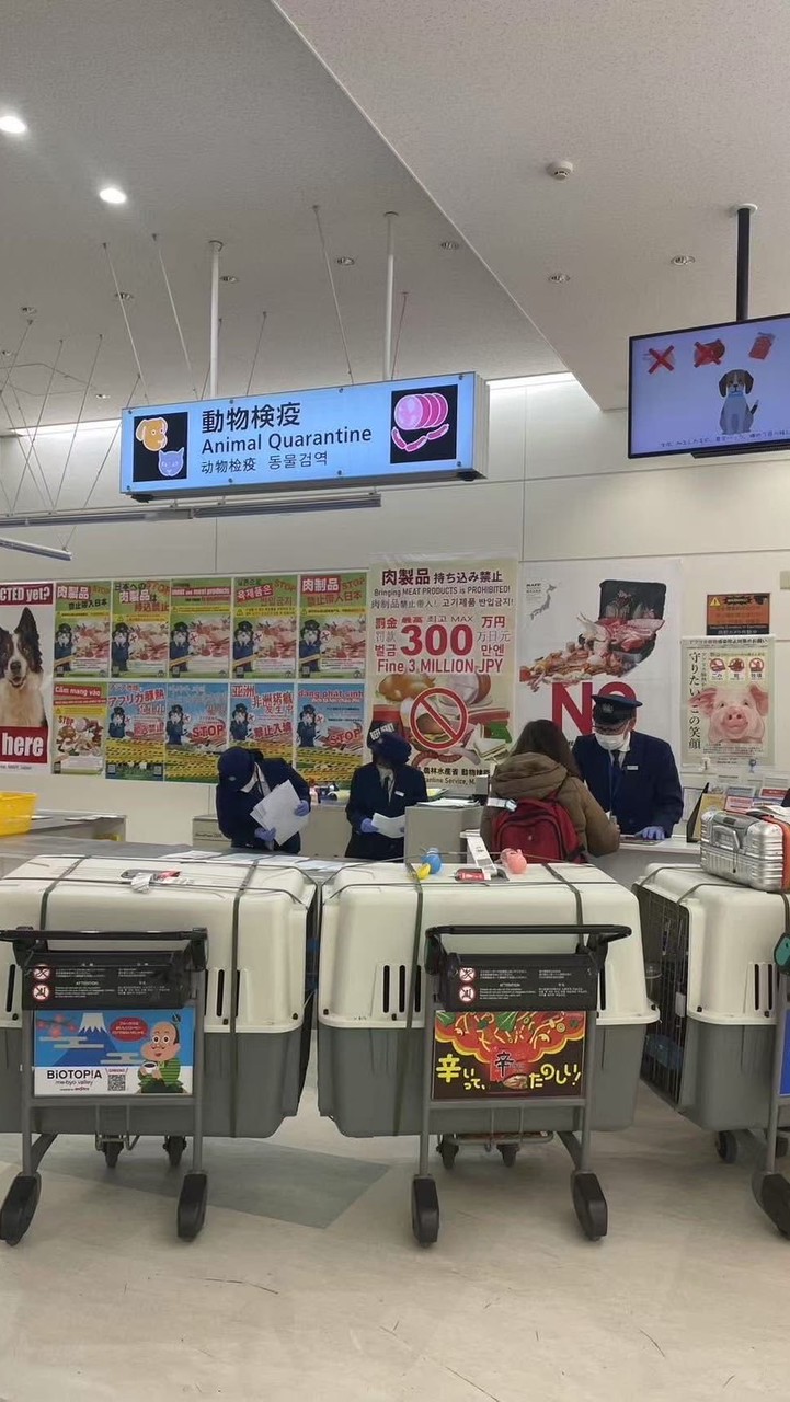 台灣貓狗進口交流平台