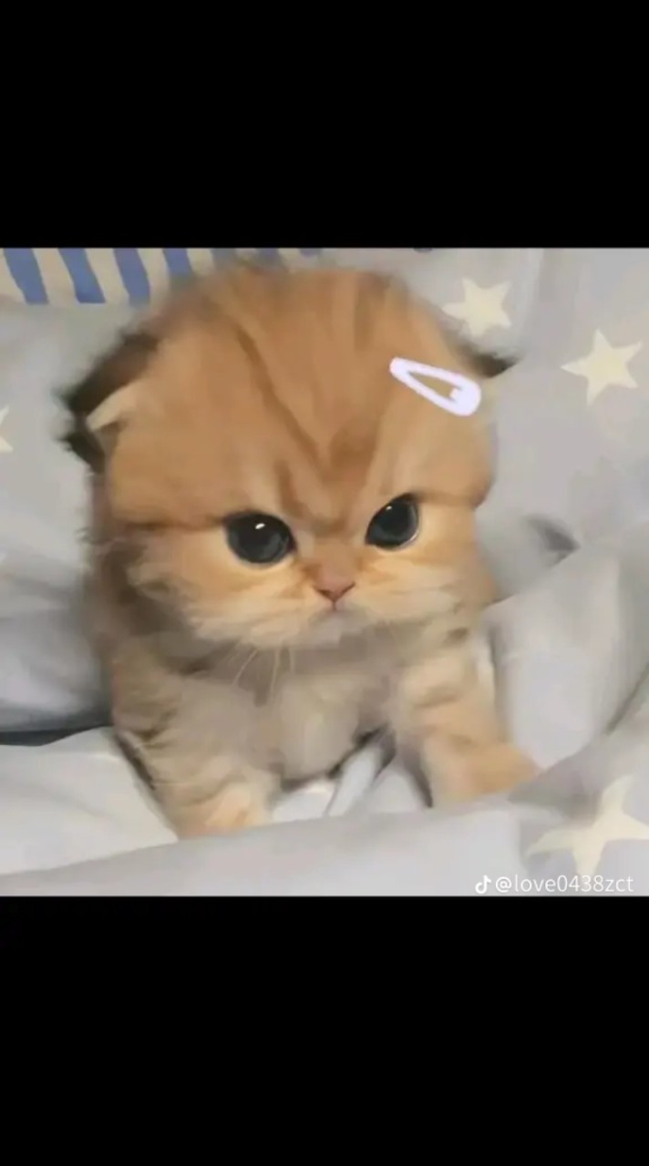 กลุ่มคนชอบ ซาริโอ้😺🩷